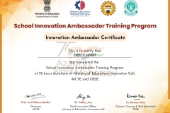 sia-certificate-for-innovation_ambassador-module-11216220_page-0001-1