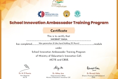 sia-certificate-for-idea-generation-module